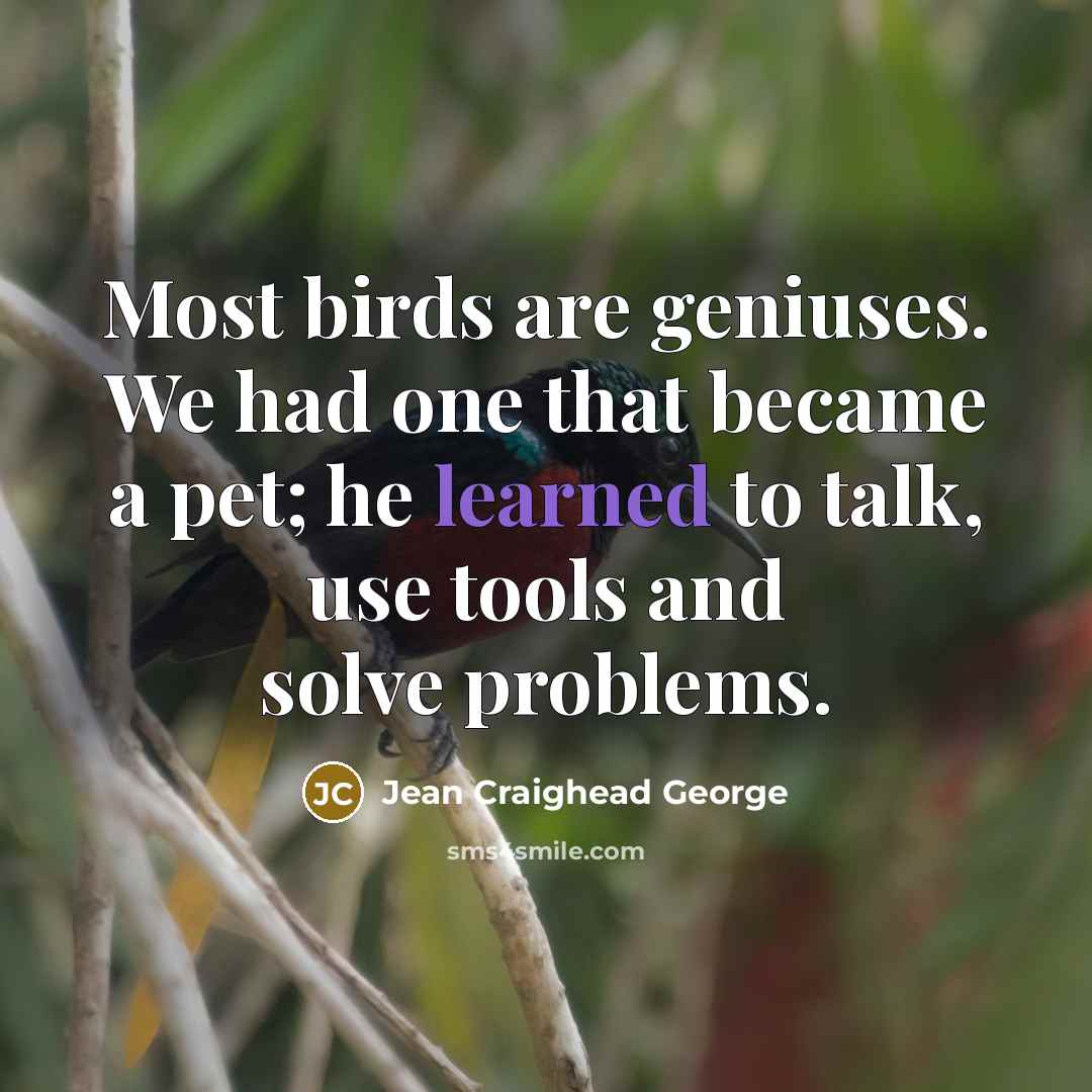 “Most birds are geniuses. We had one that became a…” quote by Jean Craighead George