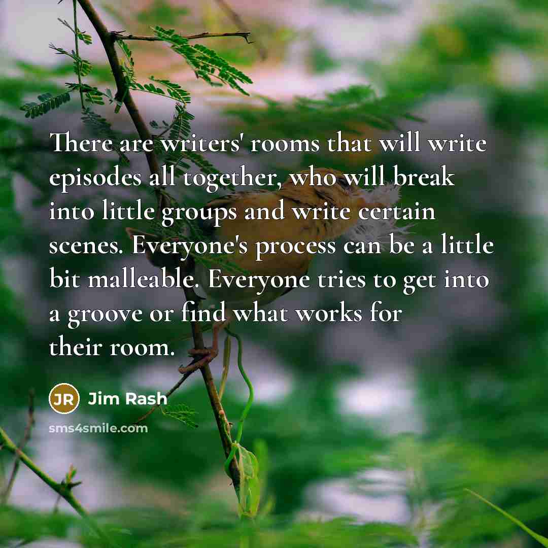 “There are writers' rooms that will write episodes all together,…” quote by Jim Rash