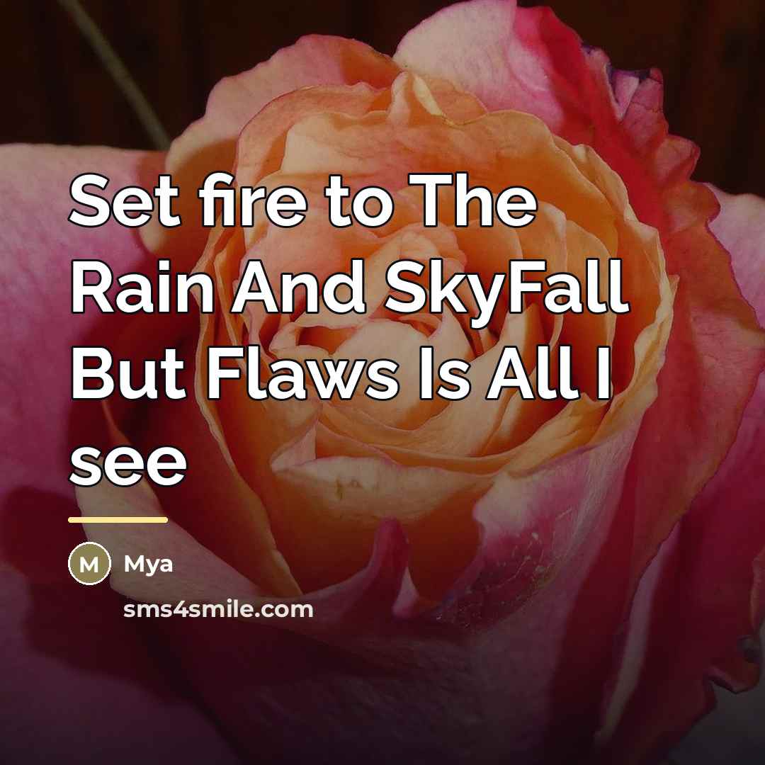 “Set fire to The Rain And SkyFall But Flaws Is…” quote by Mya
