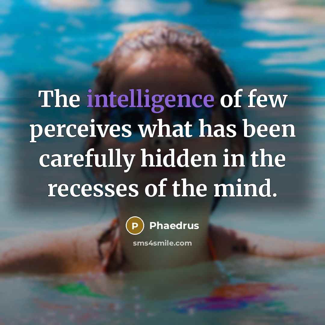 “The intelligence of few perceives what has been carefully hidden…” quote by Phaedrus