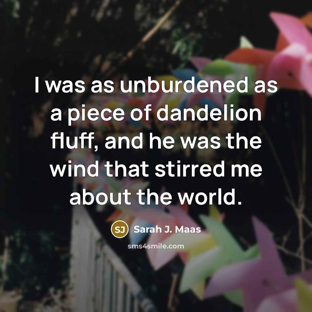 “I was as unburdened as a piece of dandelion fluff,…” quote by Sarah J. Maas