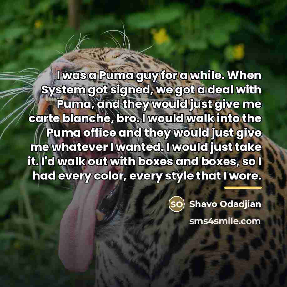 “I was a Puma guy for a while. When System…” quote by Shavo Odadjian