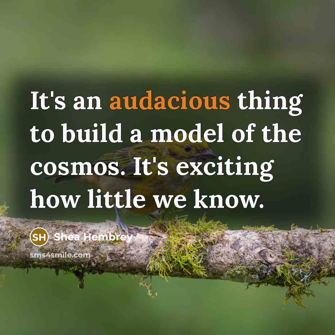 “It's an audacious thing to build a model of the…” quote by Shea Hembrey