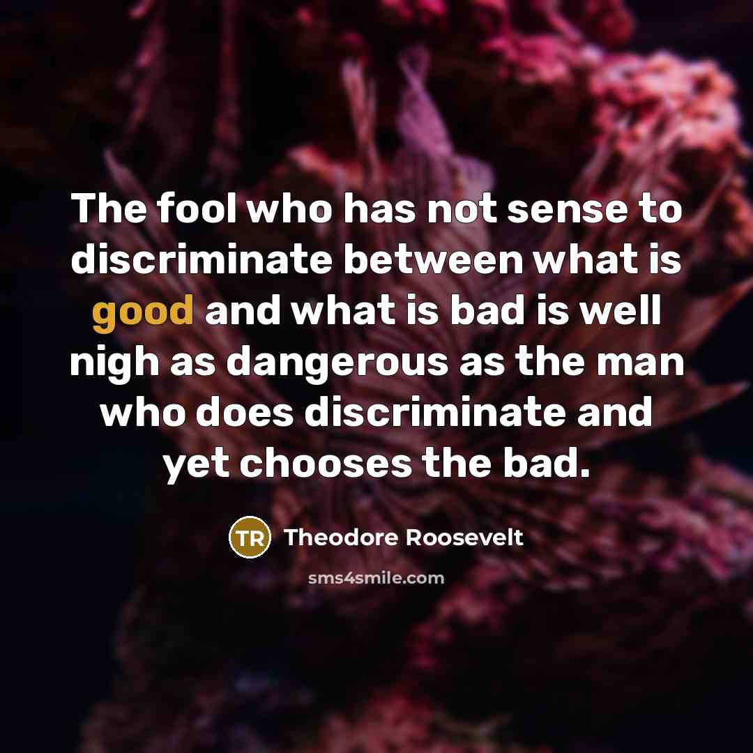 “The fool who has not sense to discriminate between what…” quote by Theodore Roosevelt