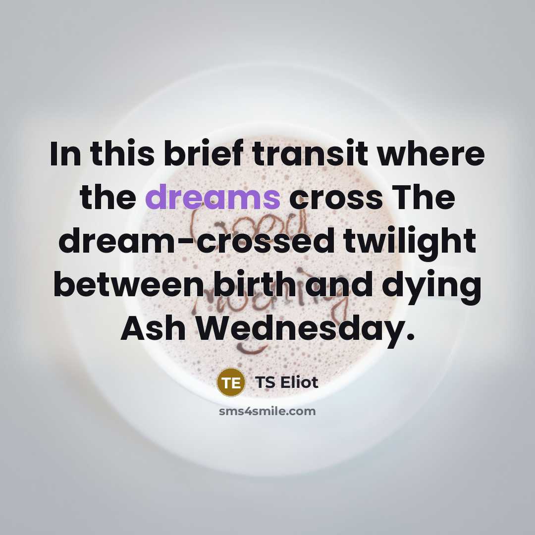 “In this brief transit where the dreams cross The dream-crossed…” quote by TS Eliot