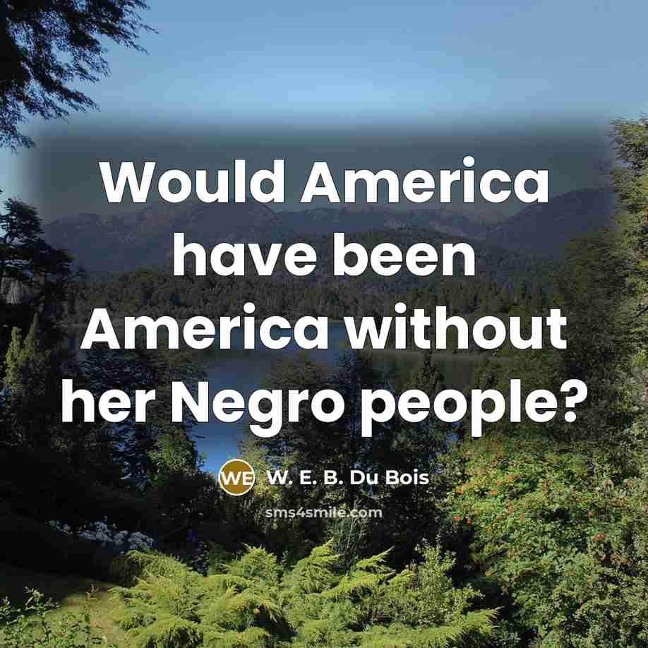 “Would America have been America without her Negro people?…” quote by W. E. B. Du Bois