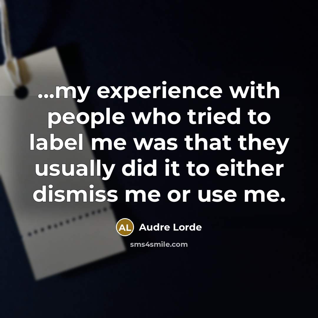 “...my experience with people who tried to label me was…” quote by Audre Lorde