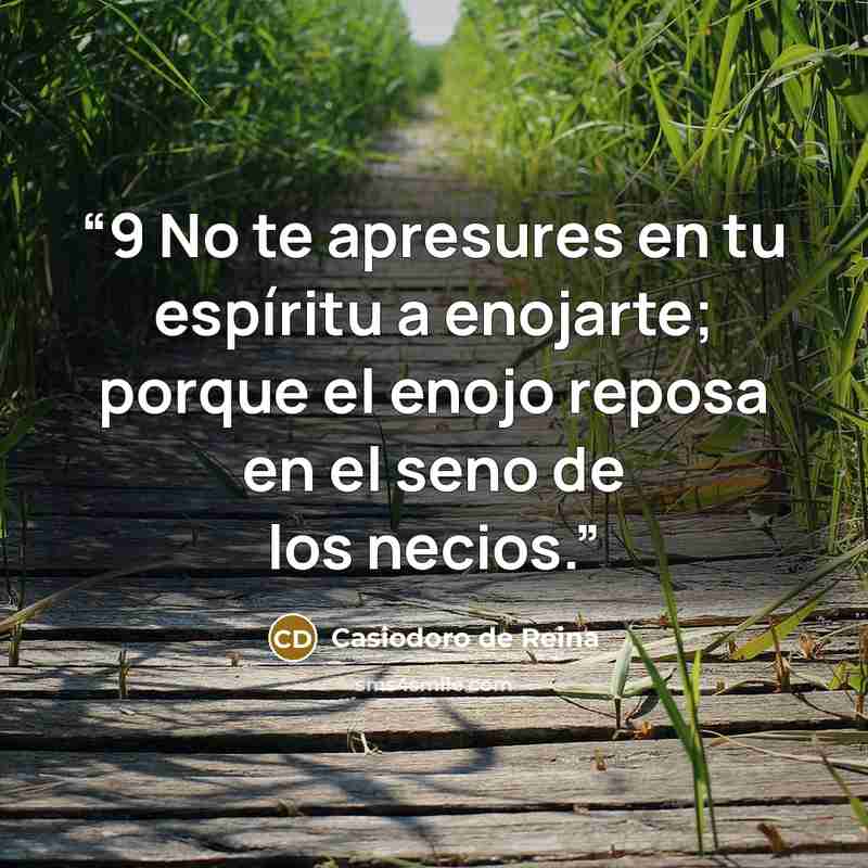 “9 No te apresures en tu espíritu a enojarte; porque el enojo reposa en el seno de los necios.” quote by Casiodoro de Reina
