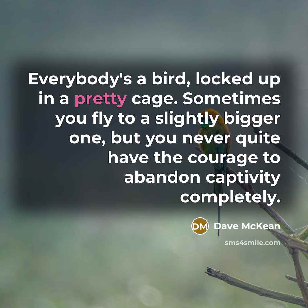 “Everybody's a bird, locked up in a pretty cage. Sometimes…” quote by Dave McKean