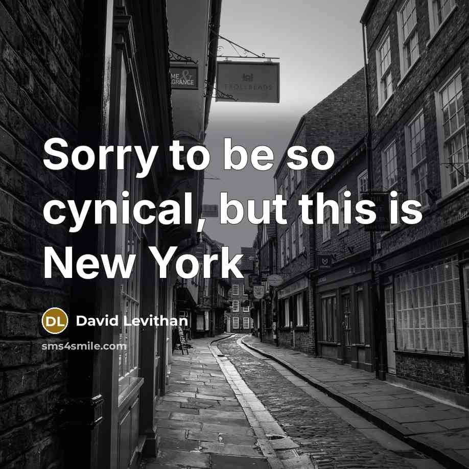 “Sorry to be so cynical, but this is New York…” quote by David Levithan