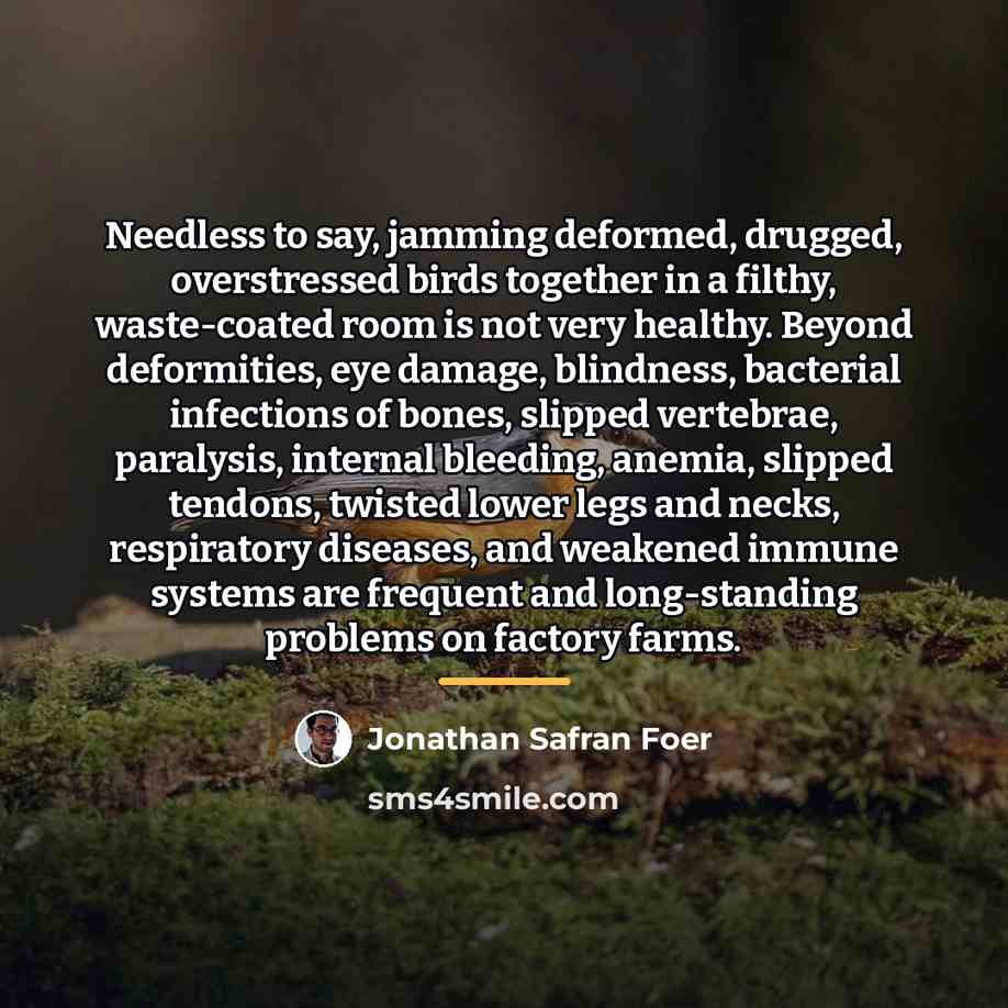 “Needless to say, jamming deformed, drugged, overstressed birds together in…” quote by Jonathan Safran Foer