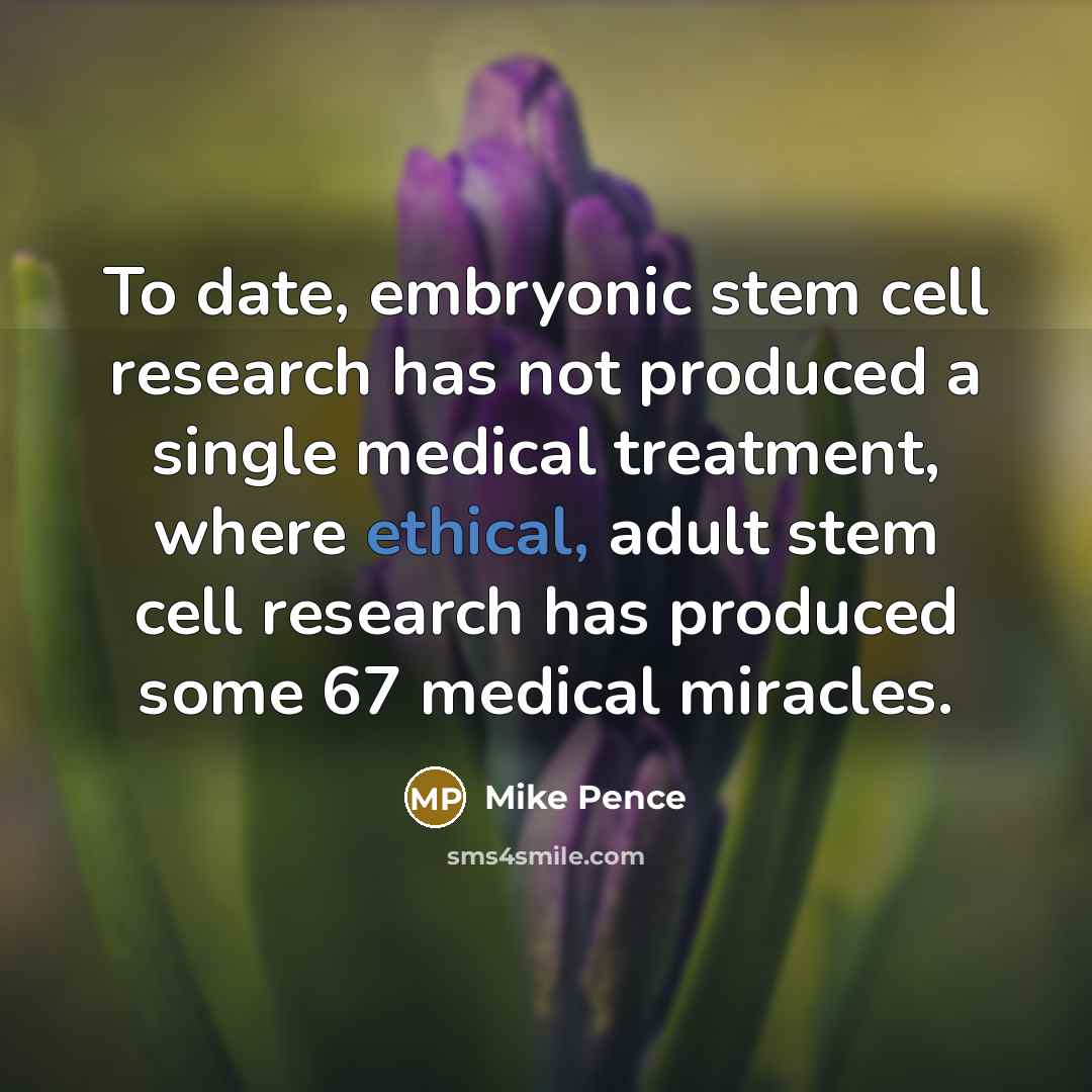 “To date, embryonic stem cell research has not produced a…” quote by Mike Pence