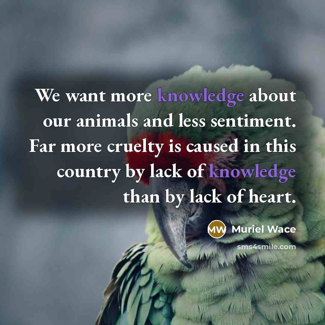 “We want more knowledge about our animals and less sentiment.…” quote by Muriel Wace