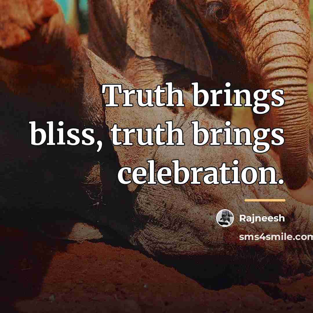 “Truth brings bliss, truth brings celebration.…” quote by Rajneesh