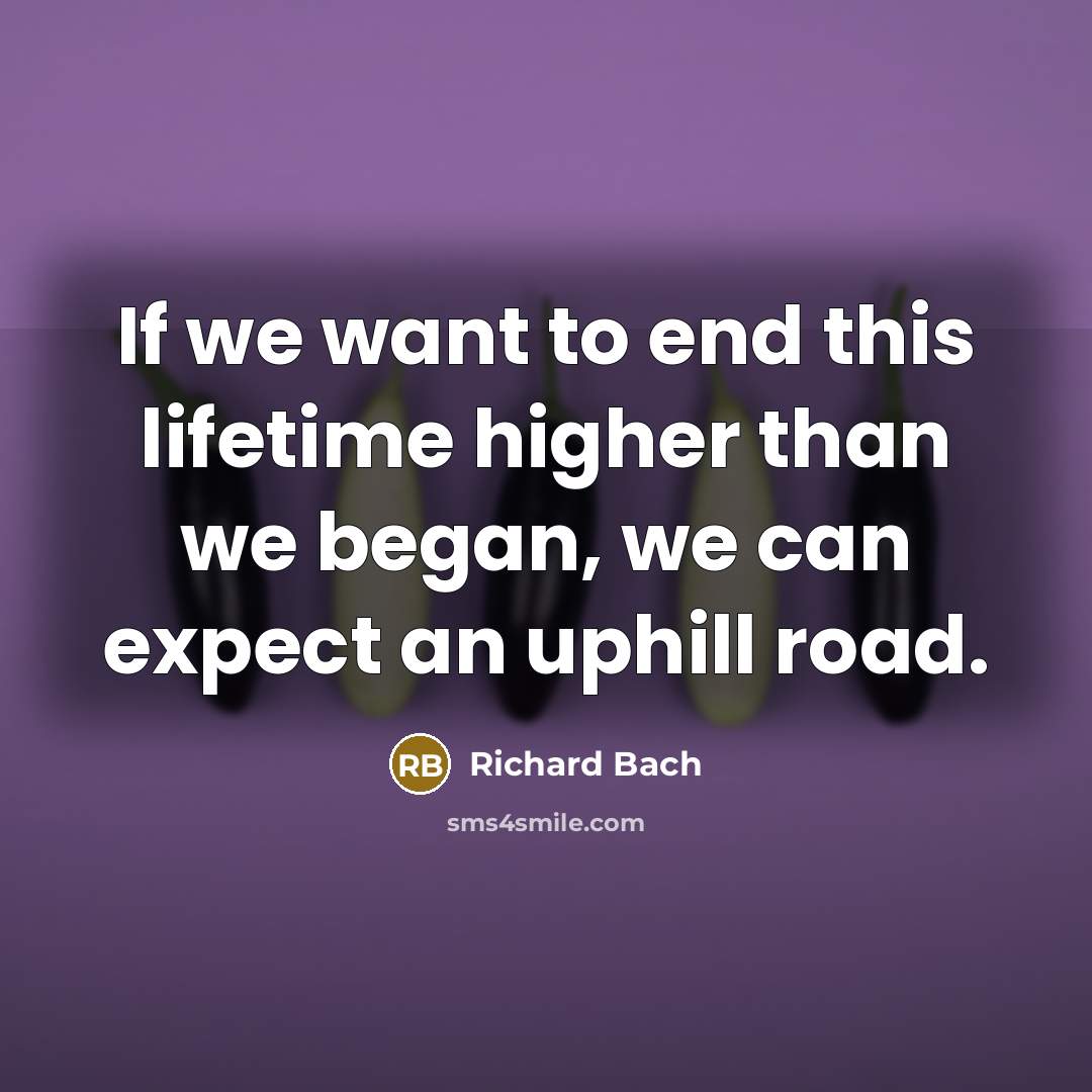 “If we want to end this lifetime higher than we…” quote by Richard Bach