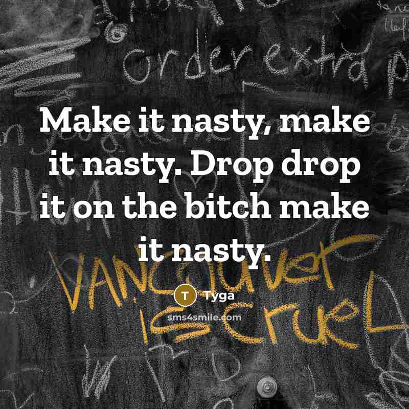 “Make it nasty, make it nasty. Drop drop it on the bitch make it nasty.” quote by Tyga