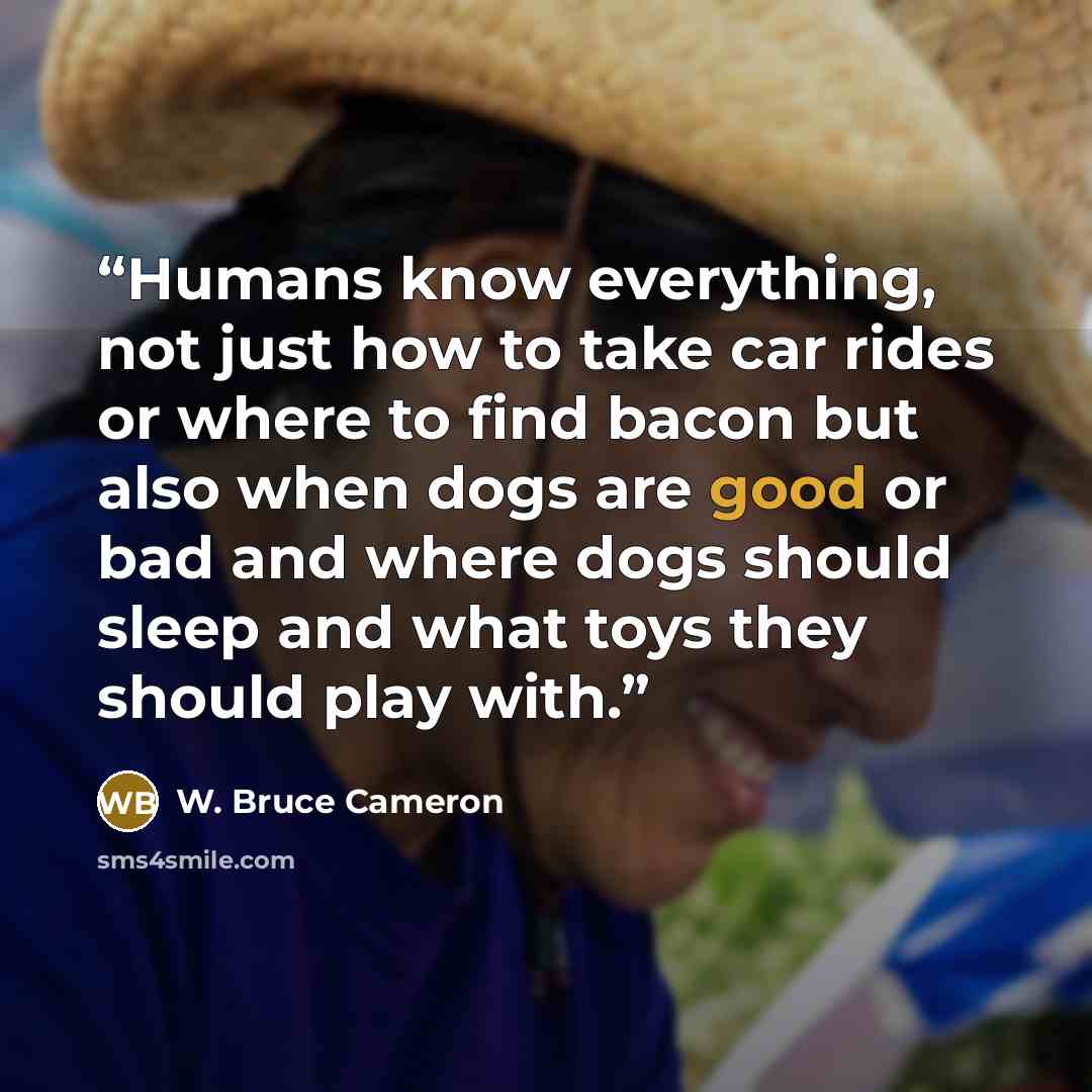 “Humans know everything, not just how to take car rides or where to find bacon but also when dogs are good or bad and where dogs should sleep and what toys they should play with.” quote by W. Bruce Cameron