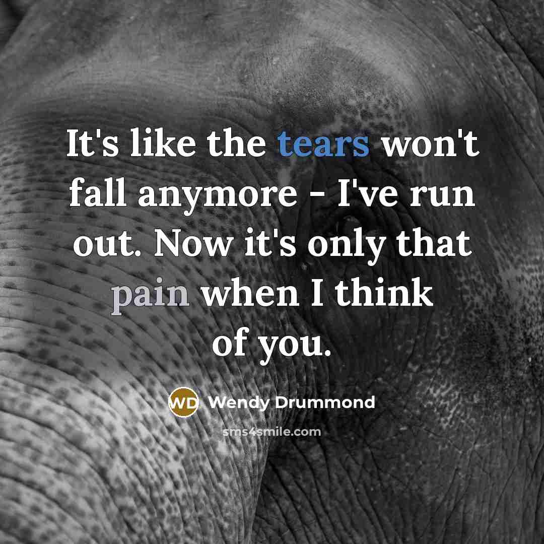 “It's like the tears won't fall anymore - I've run…” quote by Wendy Drummond