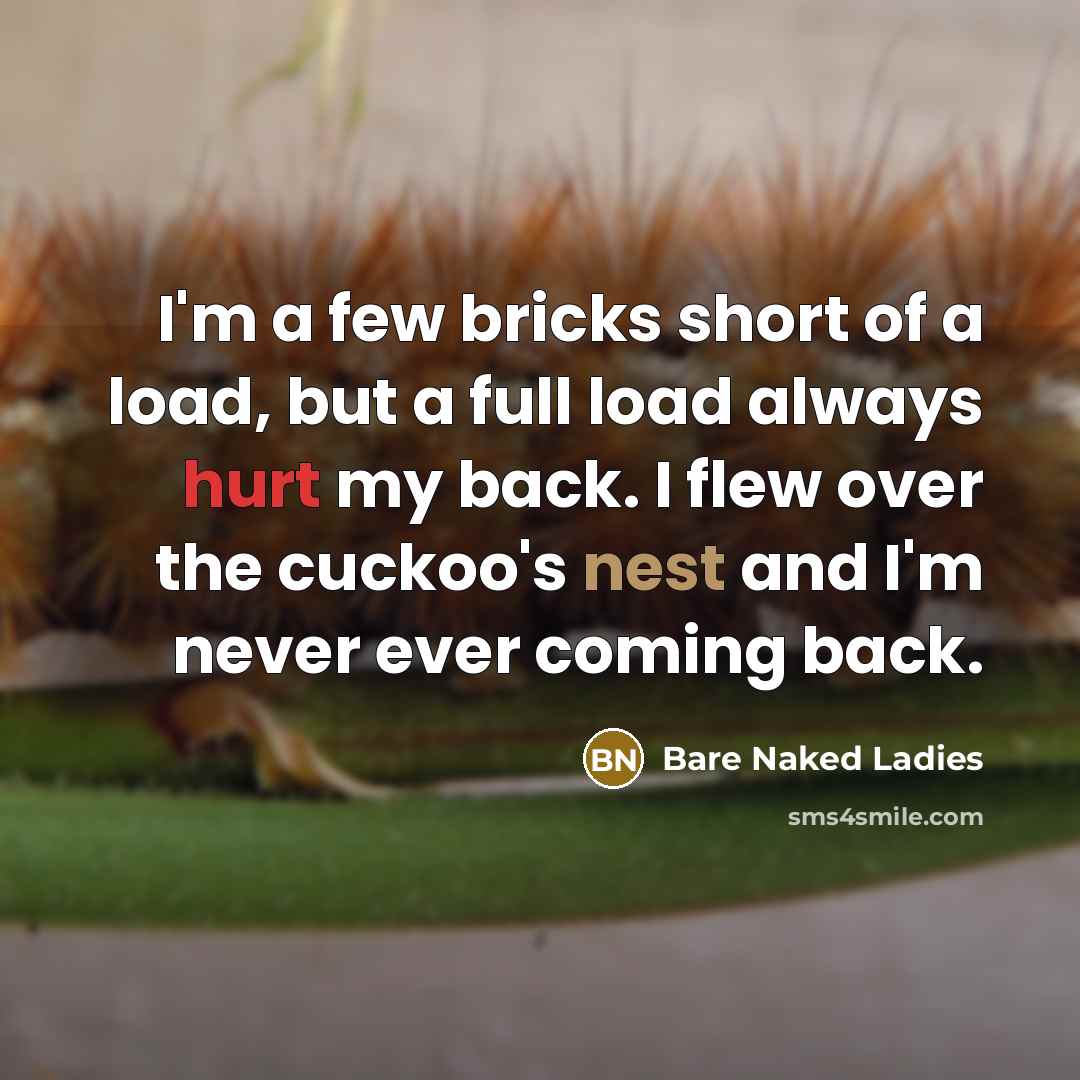 “I'm a few bricks short of a load, but a full load always hurt my back. I flew over the cuckoo's nest and I'm never ever coming back.” quote by Bare Naked Ladies