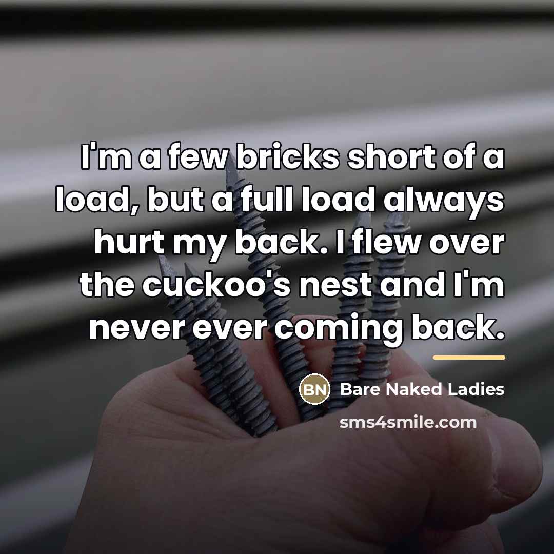 “I'm a few bricks short of a load, but a…” quote by Bare Naked Ladies