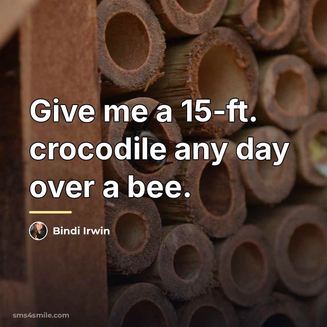 “Give me a 15-ft. crocodile any day over a bee.…” quote by Bindi Irwin