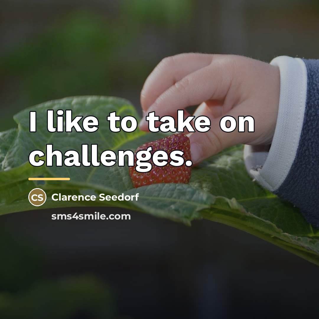 “I like to take on challenges.…” quote by Clarence Seedorf