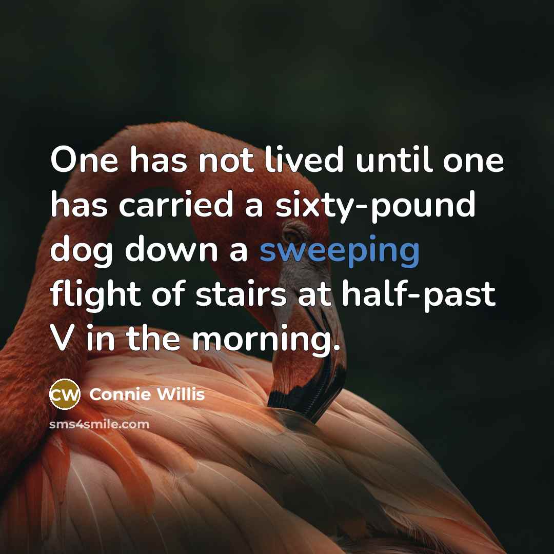 “One has not lived until one has carried a sixty-pound dog down a sweeping flight of stairs at half-past V in the morning.” quote by Connie Willis