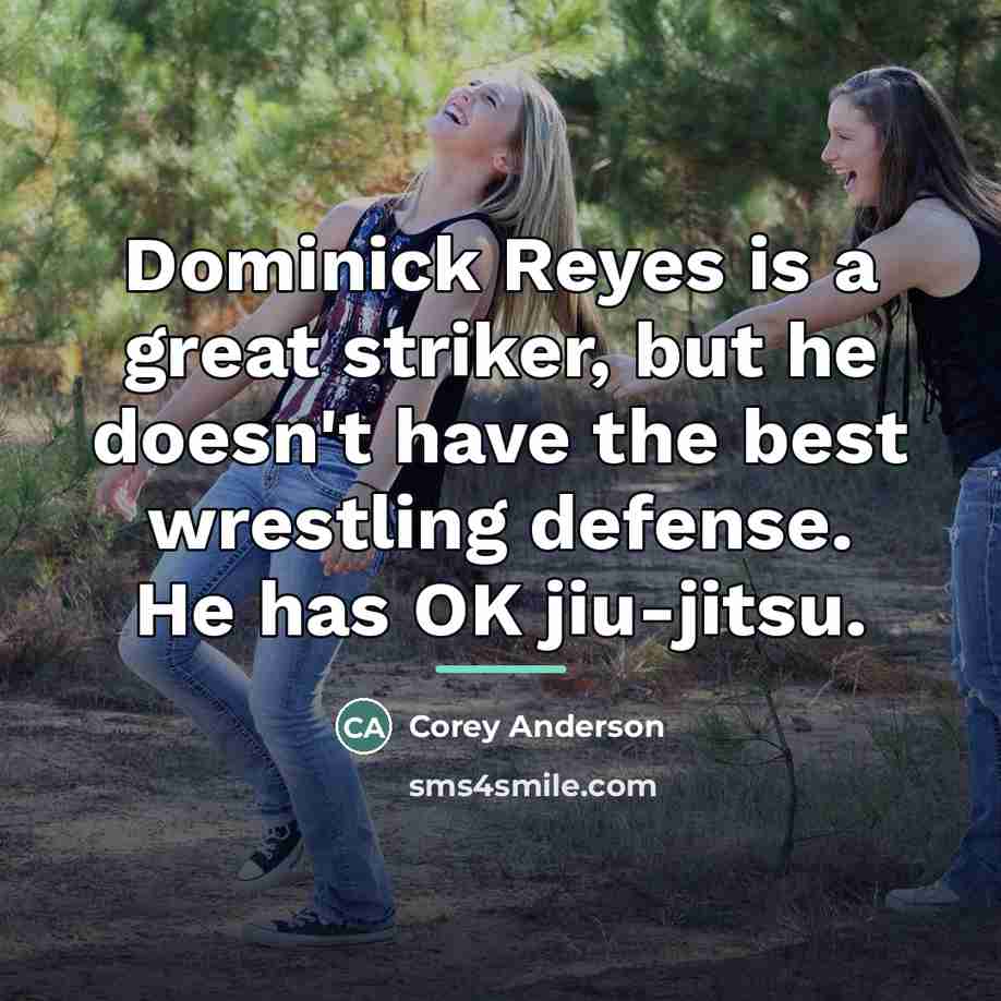 “Dominick Reyes is a great striker, but he doesn't have…” quote by Corey Anderson