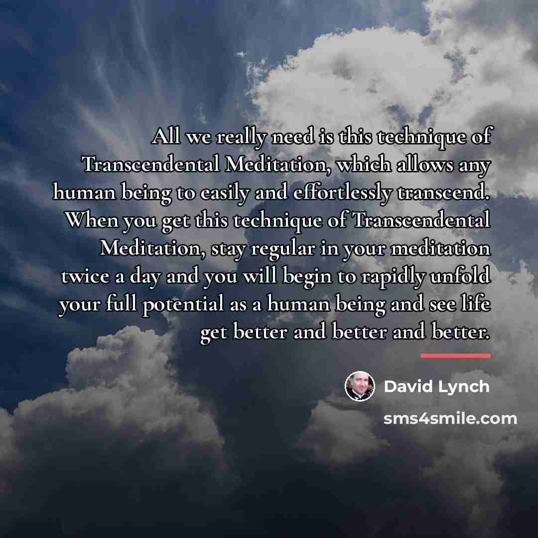 “All we really need is this technique of Transcendental Meditation,…” quote by David Lynch