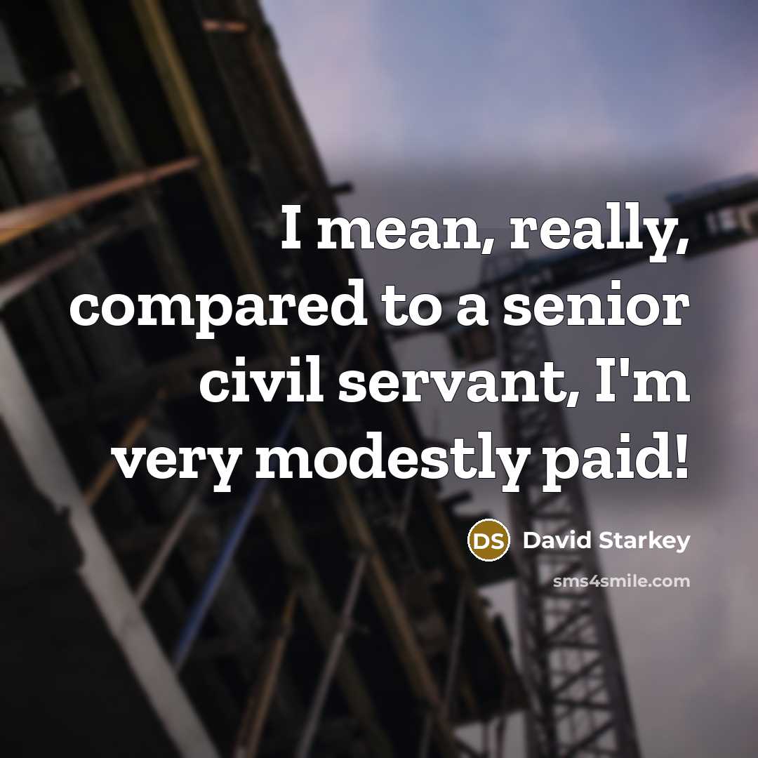 “I mean, really, compared to a senior civil servant, I'm…” quote by David Starkey