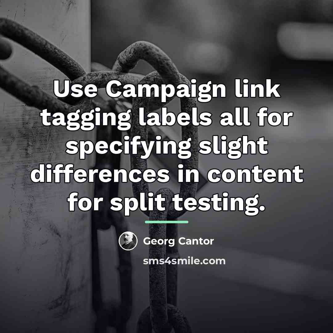 “Use Campaign link tagging labels all for specifying slight differences…” quote by Georg Cantor