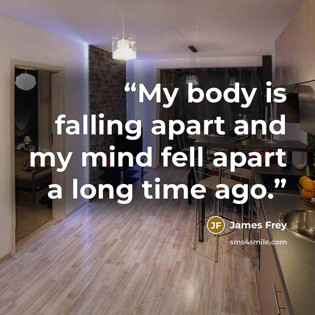 “My body is falling apart and my mind fell apart a long time ago.” quote by James Frey
