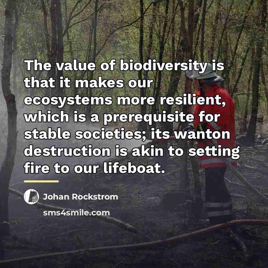 “The value of biodiversity is that it makes our ecosystems…” quote by Johan Rockstrom