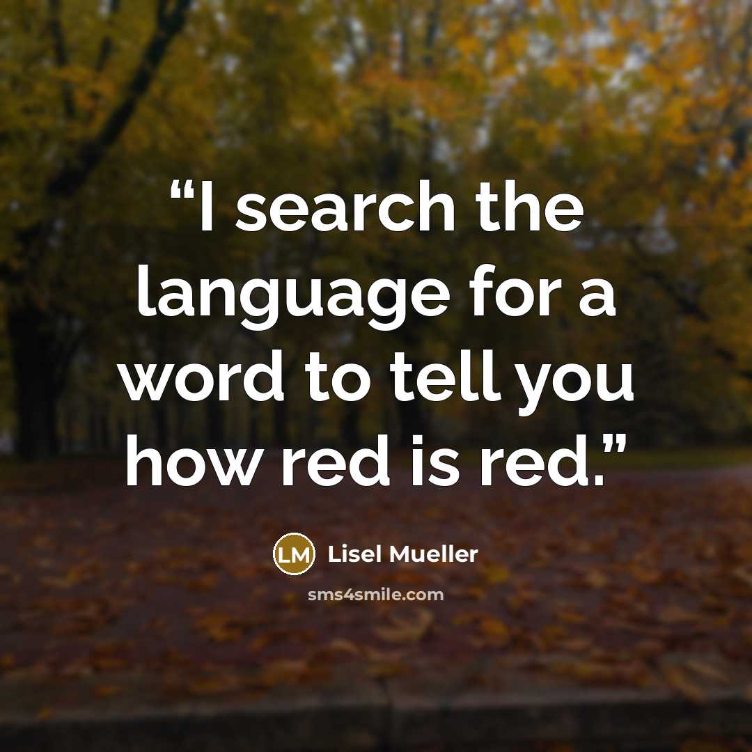 “I search the language for a word to tell you how red is red.” quote by Lisel Mueller