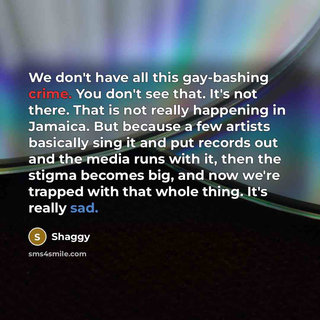 “We don't have all this gay-bashing crime. You don't see…” quote by Shaggy