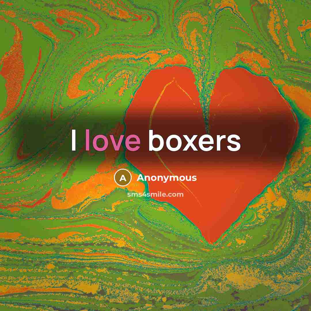 “I love boxers” quote by Anonymous