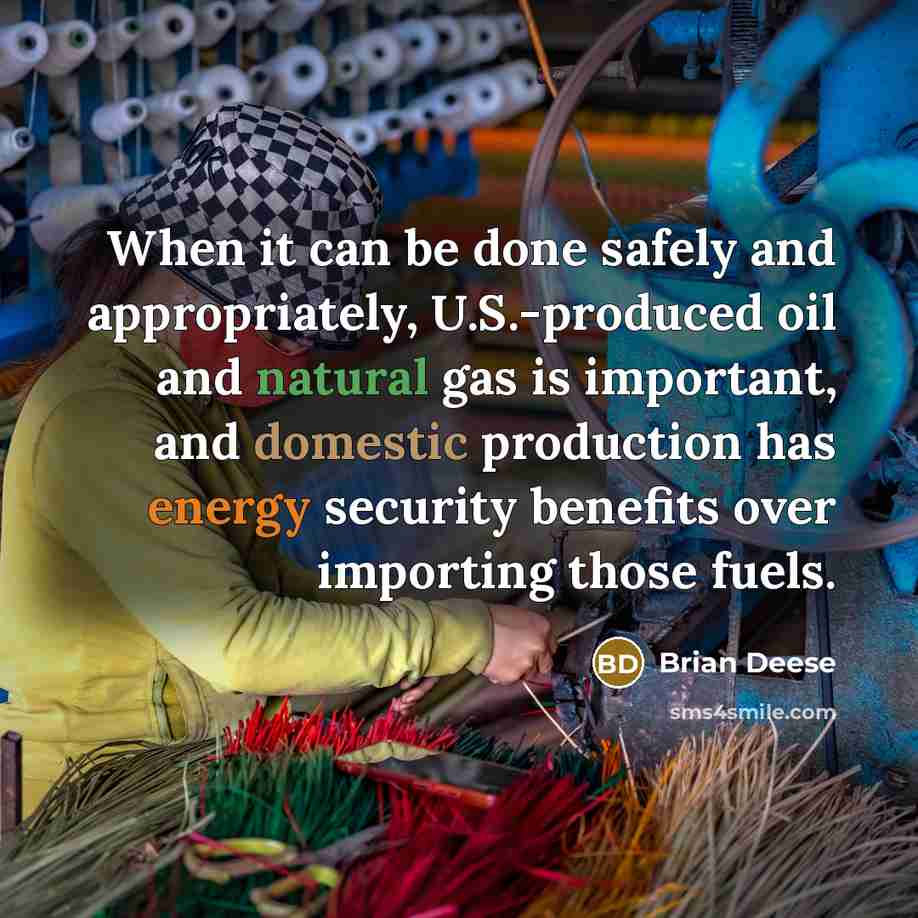 “When it can be done safely and appropriately, U.S.-produced oil and natural gas is important, and domestic production has energy security benefits over importing those fuels.” quote by Brian Deese