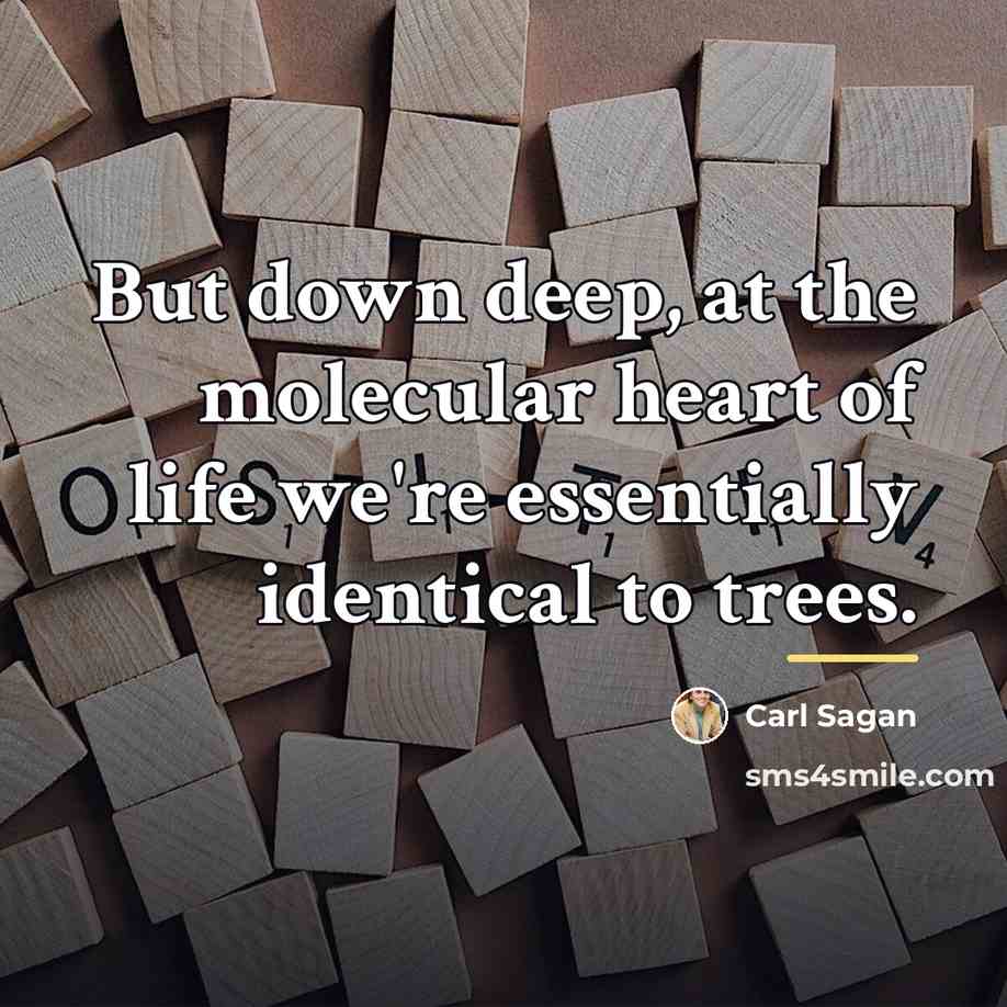 “But down deep, at the molecular heart of life we're…” quote by Carl Sagan