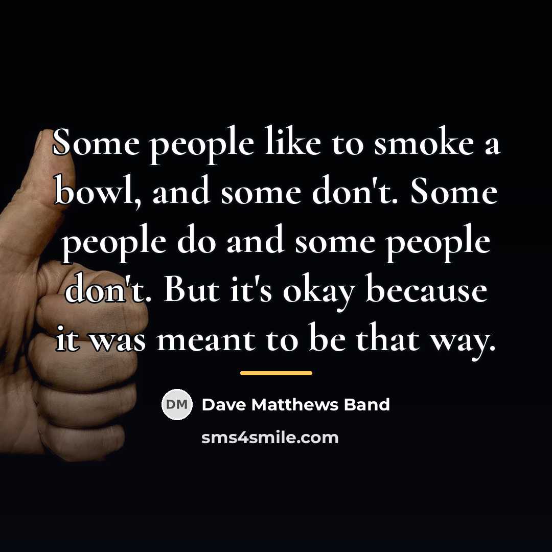 “Some people like to smoke a bowl, and some don't.…” quote by Dave Matthews Band