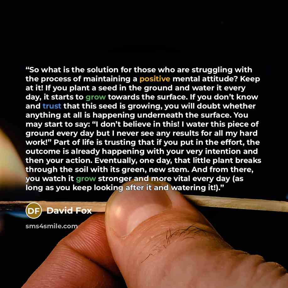 “So what is the solution for those who are struggling with the process of maintaining a positive mental attitude? Keep at it! If you plant a seed in the ground and water it every day, it starts to grow towards the surface. If you don’t know and trust that this seed is growing, you will doubt…” quote by David Fox