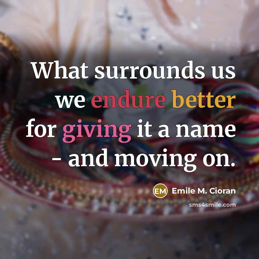 “What surrounds us we endure better for giving it a name - and moving on.” quote by Emile M. Cioran