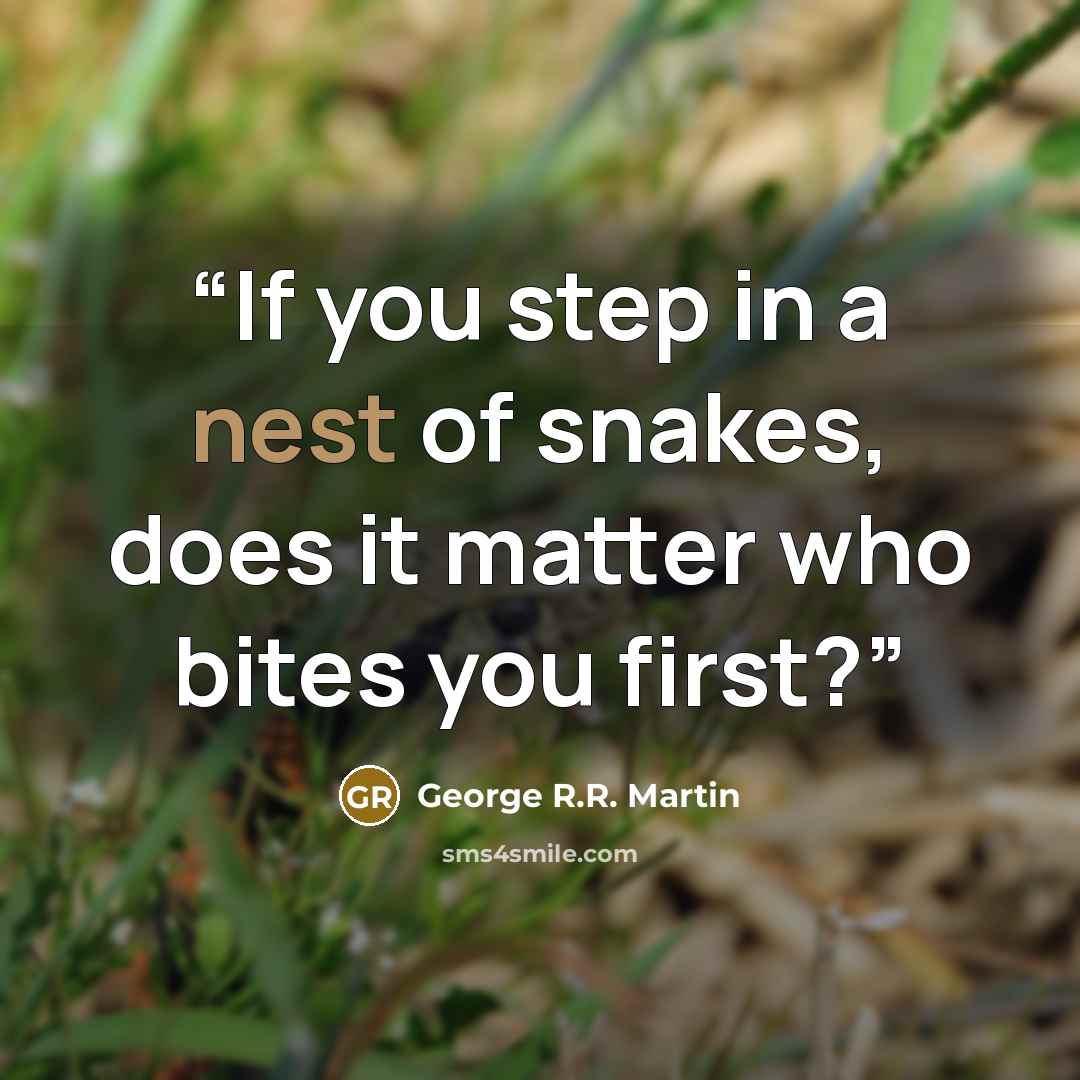 “If you step in a nest of snakes, does it matter who bites you first?” quote by George R.R. Martin