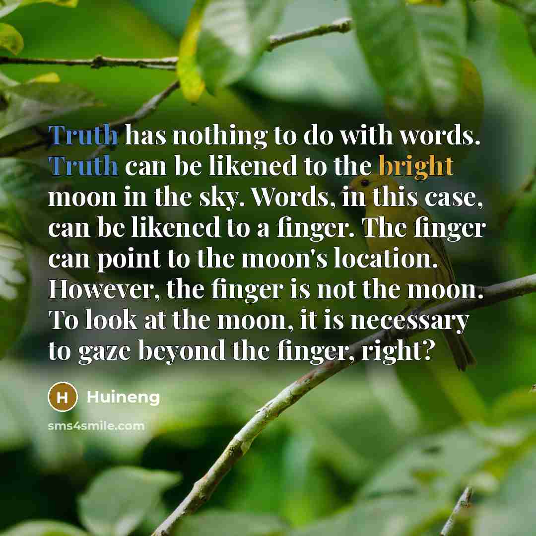 “Truth has nothing to do with words. Truth can be…” quote by Huineng
