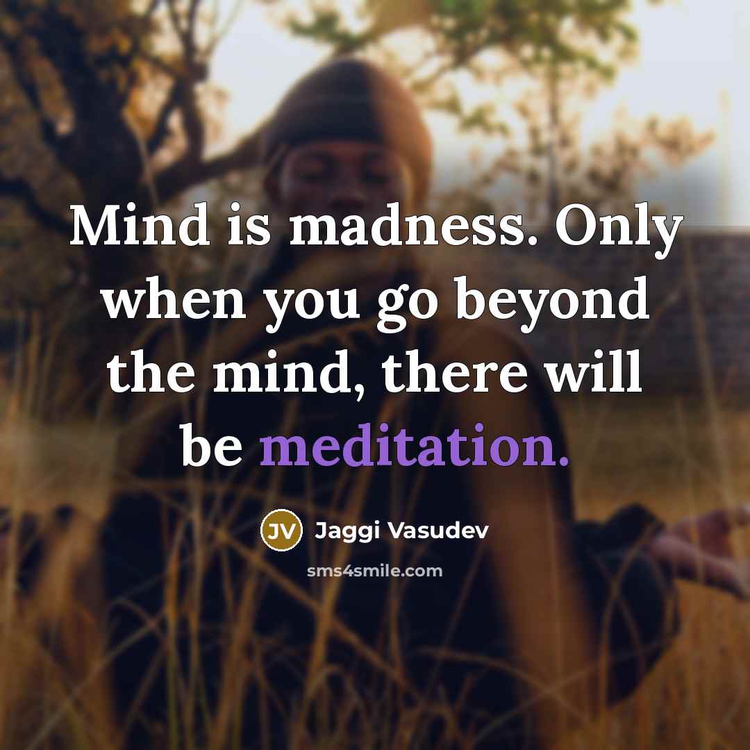“Mind is madness. Only when you go beyond the mind,…” quote by Jaggi Vasudev