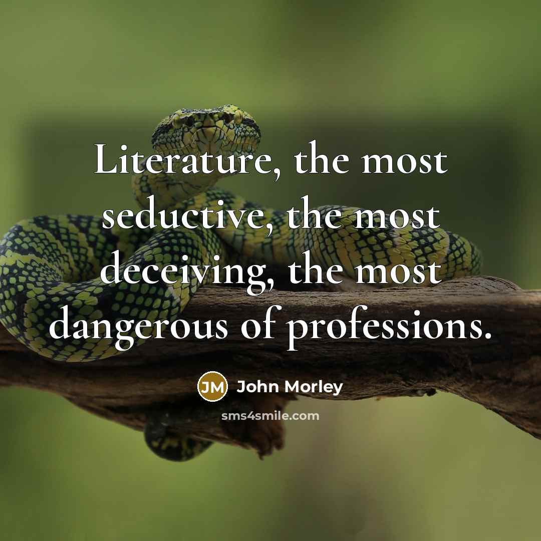“Literature, the most seductive, the most deceiving, the most dangerous…” quote by John Morley