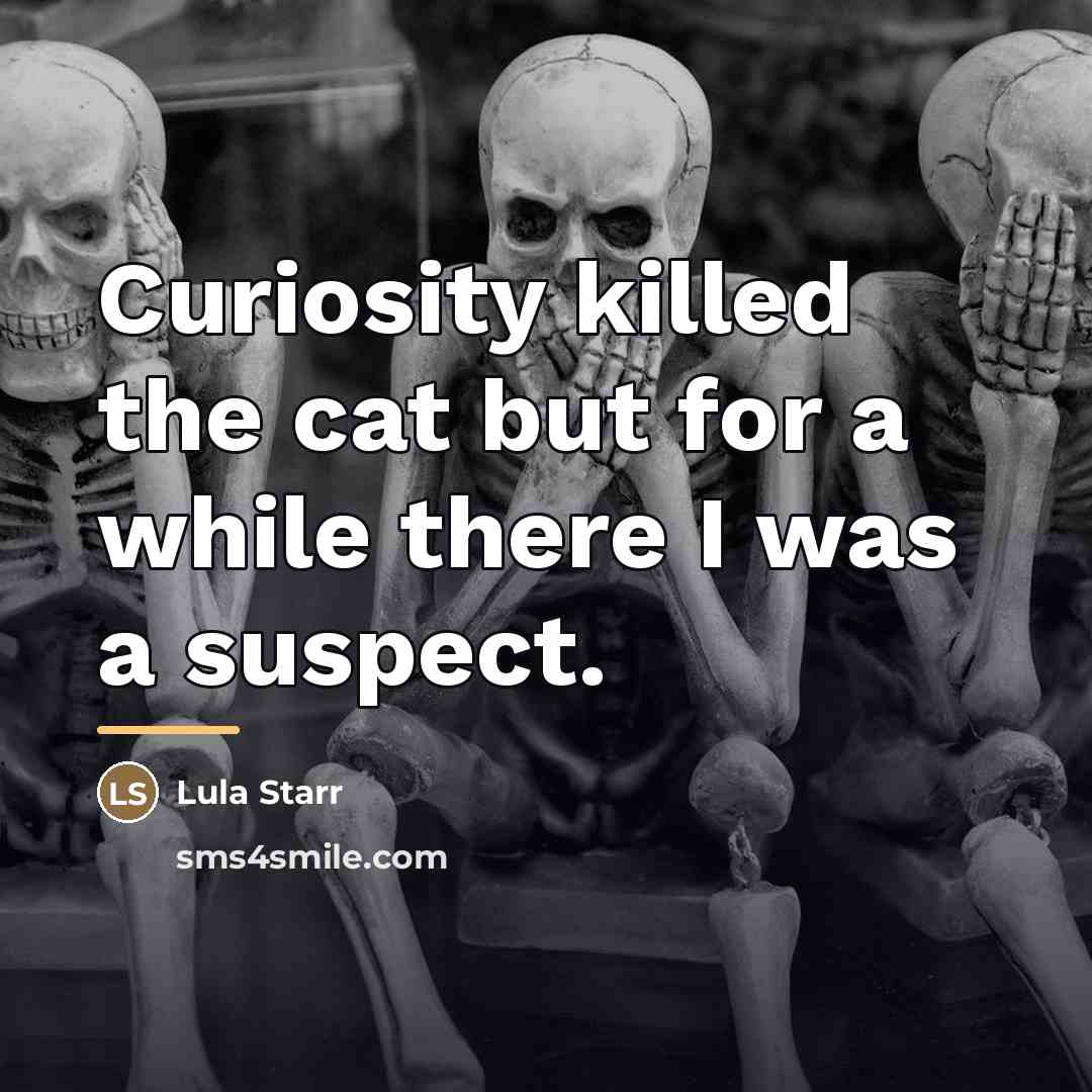 “Curiosity killed the cat but for a while there I…” quote by Lula Starr