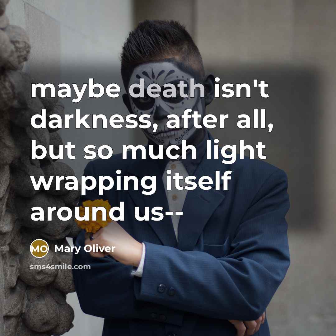 “maybe death isn't darkness, after all, but so much light…” quote by Mary Oliver