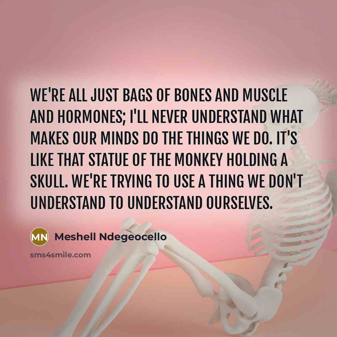 “We're all just bags of bones and muscle and hormones;…” quote by Meshell Ndegeocello