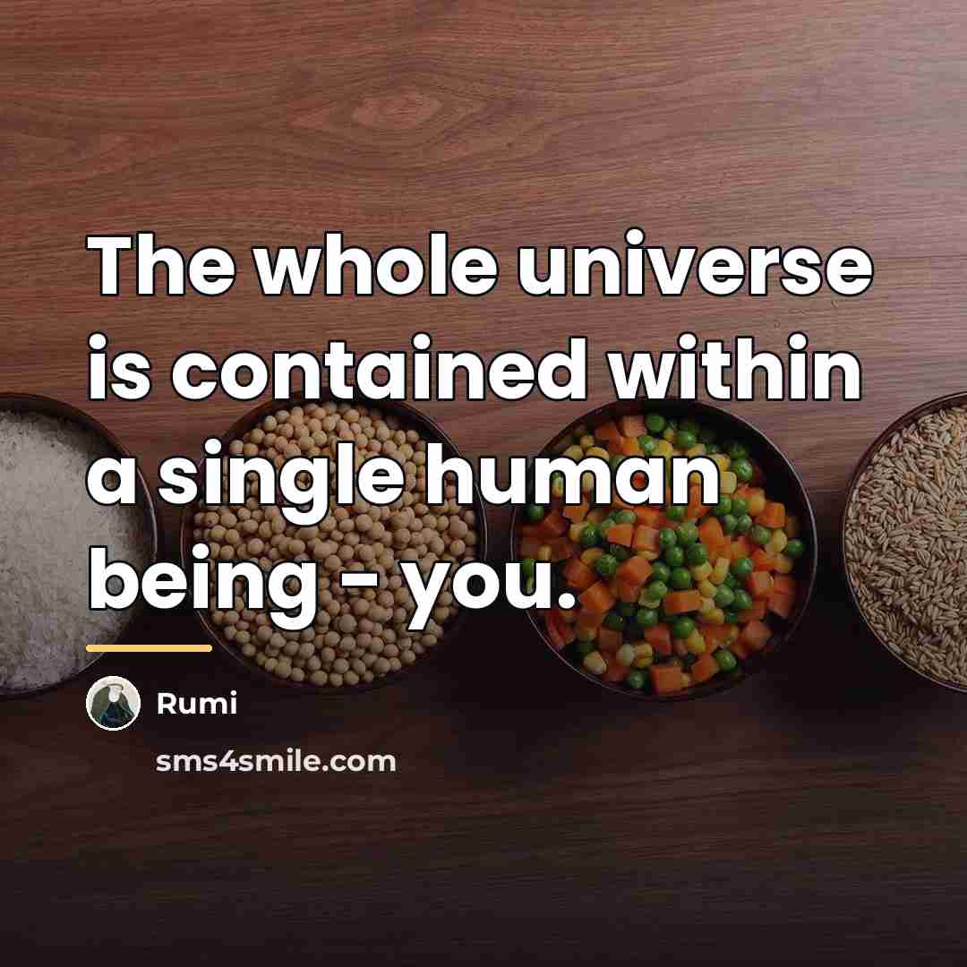 “The whole universe is contained within a single human being…” quote by Rumi