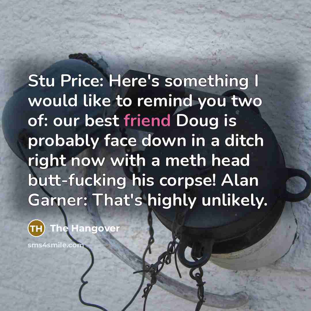 “Stu Price: Here's something I would like to remind you…” quote by The Hangover